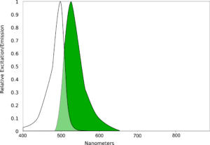 AQ Fluorescein Spectral scan