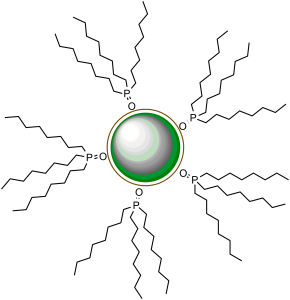 Schematic drawing of a TOPO coated green quantum dot, approximately 3 nm in diameter.