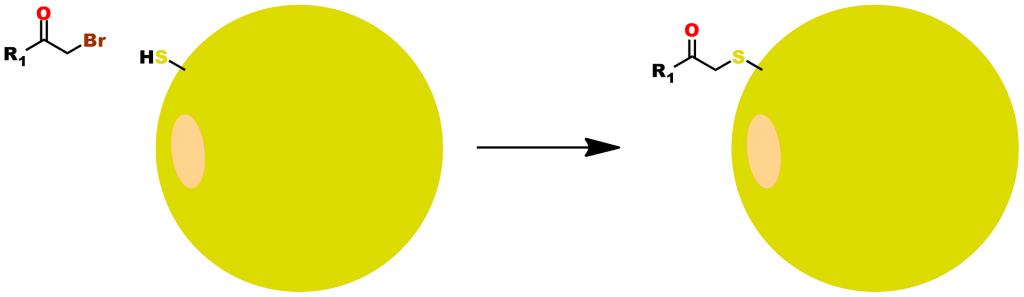 Figure 1: Reaction between a bromoacetyl group and a free thiol. This stylized reaction represents a generic bromoacetyl group reacting with a free thiol group on a yellow surface (for example, a protein surface).