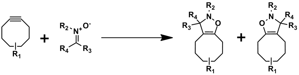Figure 10: The strain-promoted alkyne-nitrone cycloaddition (SPANC) reaction, another type of bioorthogonal, biocompatible click chemistry.. In SPANC, substitutions on the nitrone's carbon and nitrogen atoms are permissible, and acyclic and endocyclic nitrones can participate in the reaction.