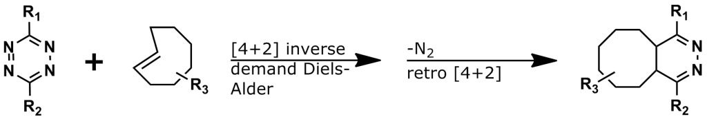 Figure 12: The Inverse Electron-Demand Diels-Alder (IEDDA) [4+2] cycloaddition reaction, another type of click chemistry reaction, was first published in 2008 by two different research groups. Trans-cyclooctene is commonly used, but other cyclooctenes also can participate in IEDDA reactions. The reaction scheme shown in this image was adapted from https://commons.wikimedia.org/wiki/File:Tetrazine-Alkene_Reaction.png by Vinteuilleverkuhn using a CC BY 3.0 license. See https://creativecommons.org/licenses/by/3.0. The endorsement of this image by the original author is neither expressed nor implied.