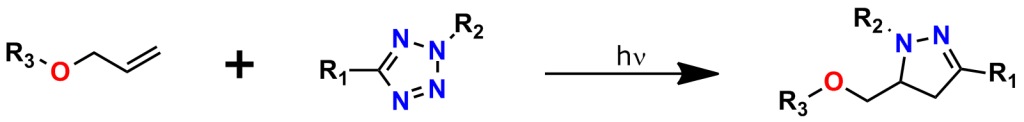 Figure 13: The general scheme of a photoclick chemical reaction. Photoclick chemistry is a biocompatible, bioorthogonal click chemistry reaction that uses light to trigger the reaction. This permits greater spatial and temporal control of the reaction (often shortened to spatiotemporal control). Photoclick chemistry can be used in bioconjugation reactions.