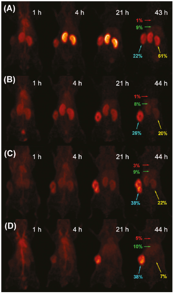 Tumor Imaging using PET with 64Cu-labeled DOTA-NH-PEGn-AVP04-50