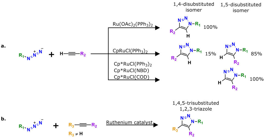 Figure 4: The Ruthenium(II)-catalyzed Azide-Alkyne Cycloaddition (RuAAC) Reaction, ruthenium(II)-catalyzed click chemistry reaction. Part a of this figure shows various Ru(II) catalysts and the isomers they form. Depending on the catalyst chosen, the reaction can form solely the 1,4-disubstituted isomer or the 1,5-disubstituted isomer, or a mixture of the 1,4- and 1,5-disubstituted isomers in a 15:85 ratio. Part b of the image shows that the RuAAC provides a straightforward route to 1,4,5-trisubstituted-1,2,3-triazoles. The RuAAC reaction is click chemistry, but it has some limitations on the reaction conditions, including the requirement to run the reaction in organic solvents, which sharply limits the usefulness of the RuAAC in bioconjugation reactions. Unlike the CuAAC and CuNOAC, the RuAAC can modify internal alkynes as well as terminal alkynes. The CuAAC and CuNOAC can modify only terminal alkynes.