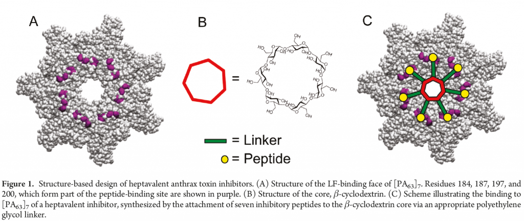 Figure 6: A heptavalent anthrax toxin inhibitor built by structure-based design using Quanta BioDesign's PN10524, azido-dPEG®11-amine. See the text for a detailed discussion. Also see reference 12, below.