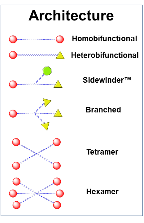 Figure 3: Available architectures for dPEG® products. Branched dPEG® products can have three (3) or nine (9) branches.