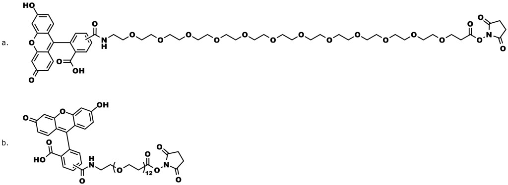 Figure 3: Product number 10885, 5(6)-carboxyfluorescein-dPEG®12-NHS ester. a. Full-length chemical structure. b. Abbreviated chemical structure shown on the website.