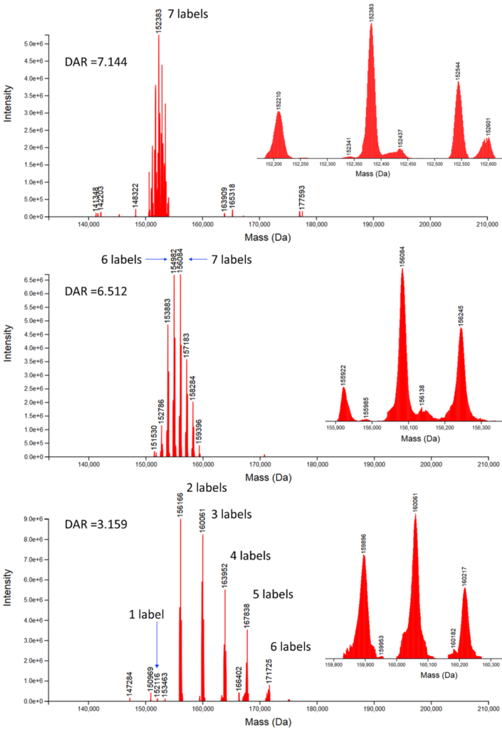 Figure 7: The ProMass HR deconvoluted mass spectra of the m-dPEG®12- (top), m-dPEG®24- (middle) and dPEG®4-(m-dPEG®24)3- (bottom) labeled mouse IgG1 mAb are shown above. All 3 conjugates show the same 3 peak cluster (inset of each spectrum) of labeled glycosylated species of IgG1 increasing by 570.5 (m-dPEG®12-), 1100 (m-dPEG®24-), or 3892.6 (dPEG®4-(m-dPEG®24)3-) Da, respectively.