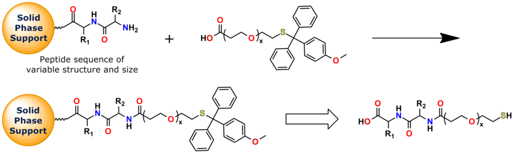 An example of how to use Methoxytrityl-S-dPEG®x building blocks in an application. In the example shown, a peptide sequence of variable size and structure is coupled to a solid phase support. Mmt-S-dPEG®x-COOH (where x = 4, 8, or 12) is activated and coupled to the peptide. A subsequent deprotection step (TFA + TES or TIS) removes the methoxytrityl group, and then the peptide is decoupled from the solid phase support. The methoxytrityl-S products offered by Quanta BioDesign are building blocks that add a non-immunogenic, hydrophilic spacer at the end or on the side chain of a peptide, converting an amine group to a thiol. There are many uses for this tool.
