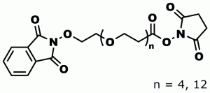 Product numbers 10011, Phthalimidooxy-dPEG®4-NHS ester, and 11135, Phthalimidooxy-dPEG®12-NHS ester, are amine-reactive protected oxyamine reagents containing a discrete PEG (dPEG®) spacer of either four (PN10011) or twelve (PN11135) ethylene oxide units. The phthalimidooxy protecting group can be removed by hydrazine.
