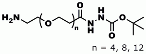 Product numbers 10041, Amino-dPEG®4-t-boc hydrazide, 10957, Amino-dPEG®8-t-boc hydrazide, and 10958, Amino-dPEG®12-t-boc hydrazide, are cross-linking compounds that react with an amine reactive group (carbonyl, carboxylic acid, active ester of a carboxylic acid) on the amine side of the molecule and then (following deprotection of the t-boc group) with an aldehyde or ketone to form a hydrazone bond.