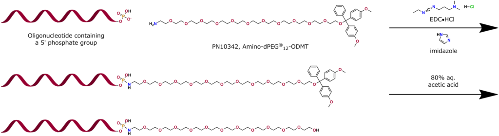 This application graphic shows PN10342, Amino-dPEG®12-ODMT, one of Quanta BioDesign's versatile building blocks and protected linkers, being used to modify an oligonucleotide. The free amine end of PN10342 couples to a 5' phosphate group on an oligonucleotide by using a combination of EDC•HCL and imidazole. The dimethoxytrityl (DMT) group removes cleanly using 80% aqueous acetic acid, exposing the terminal hydroxy of the discrete PEG spacer. Further modification can occur at this point, if required.