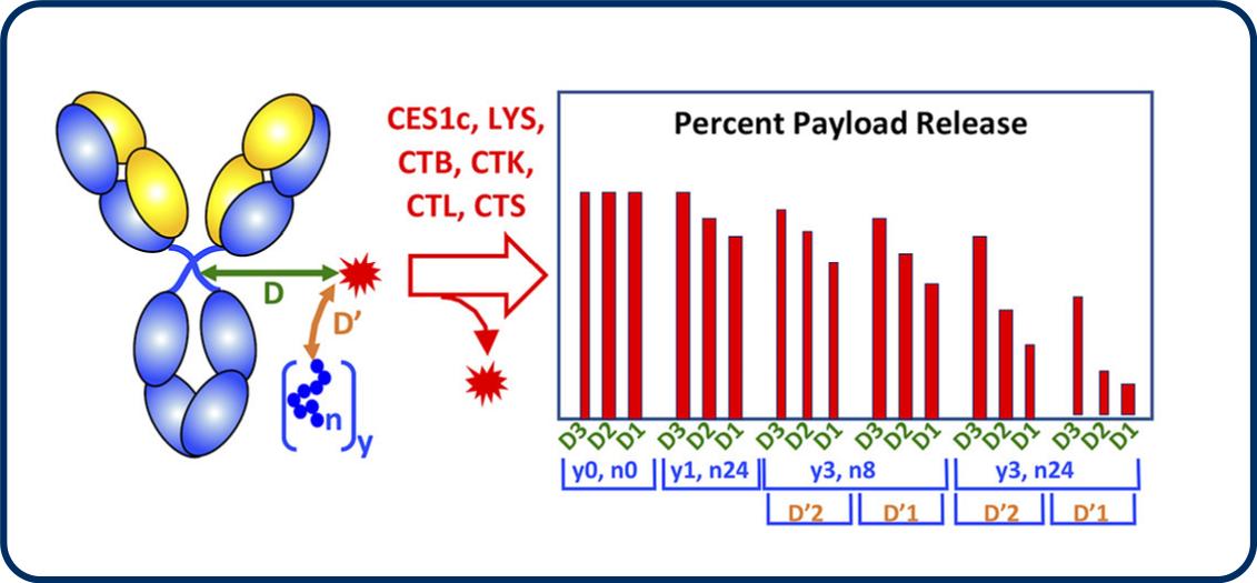 Percent Payload Release Image 2