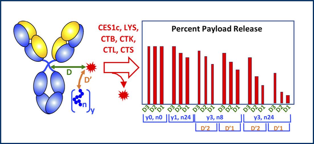 Percent Payload Release Image 3
