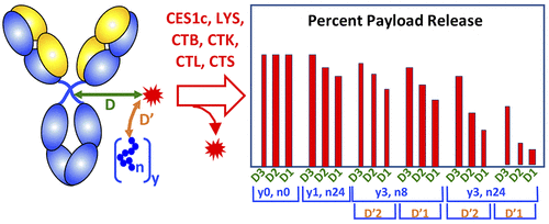 Percent Payload Release Graph