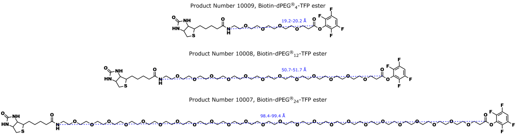 Figure 4: Quanta BioDesign's Biotin-dPEG®n-TFP ester line of biotinylation products. As discussed in the text, these products offer superior performance compared the comparable NHS esters.