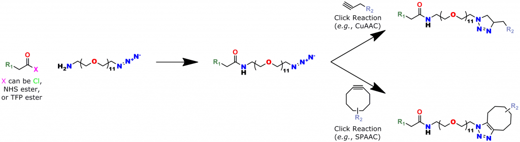 This reaction scheme shows how to use Quanta BioDesign's click chemistry crosslinking reagent, product number 10524, Azido-dPEG®11-amine. In the scheme, the amine end of molecule is reacted with a carboxylate group forming an amide bond with R1. Subsequently, the azide end of the molecule reacts by click chemistry (either copper(I)-catalyzed or strain-promoted azide-alkyne cycloaddition) to crosslink R1 with R2.