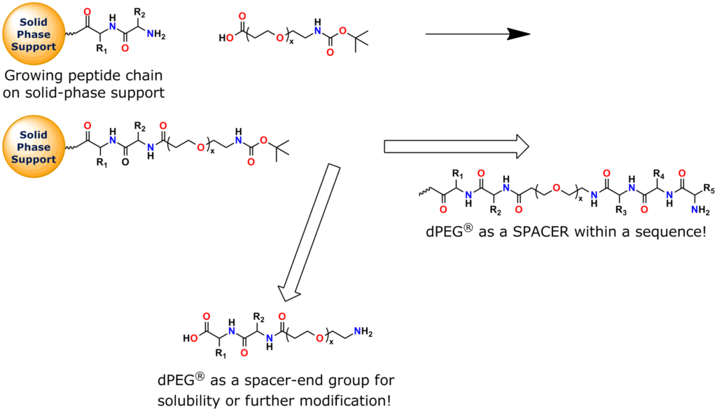 This image shows a solid-phase peptide synthesis application using Quanta BioDesign's t-boc-N-amido-dPEG®x-acid building blocks.